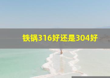 铁锅316好还是304好