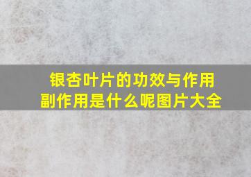 银杏叶片的功效与作用副作用是什么呢图片大全