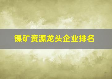 镍矿资源龙头企业排名