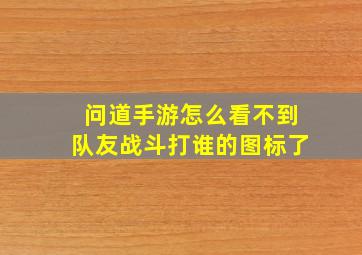 问道手游怎么看不到队友战斗打谁的图标了