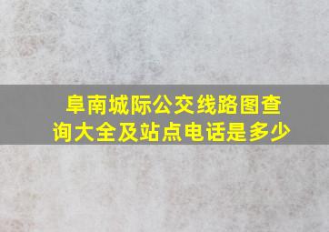 阜南城际公交线路图查询大全及站点电话是多少