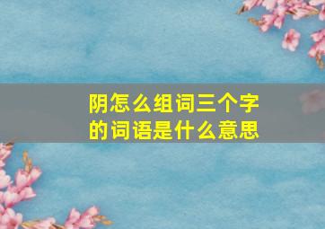 阴怎么组词三个字的词语是什么意思