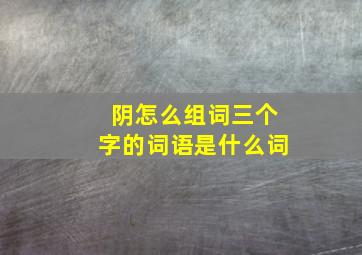 阴怎么组词三个字的词语是什么词