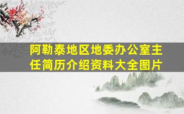 阿勒泰地区地委办公室主任简历介绍资料大全图片