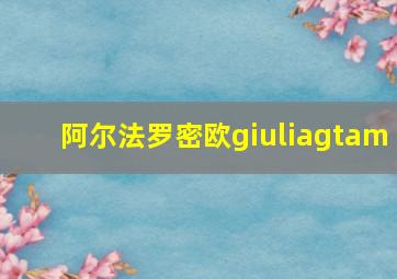 阿尔法罗密欧giuliagtam