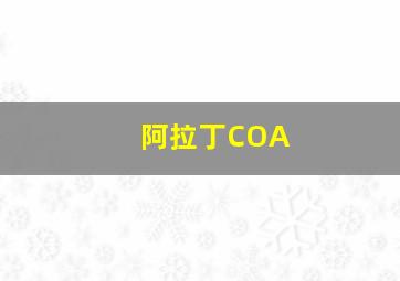 阿拉丁COA