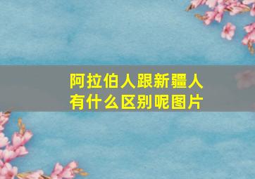 阿拉伯人跟新疆人有什么区别呢图片