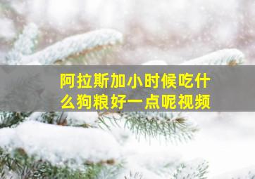 阿拉斯加小时候吃什么狗粮好一点呢视频