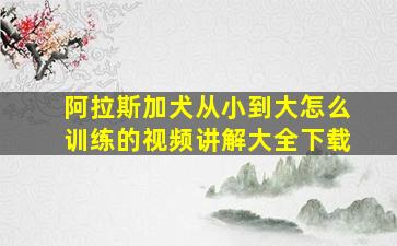 阿拉斯加犬从小到大怎么训练的视频讲解大全下载