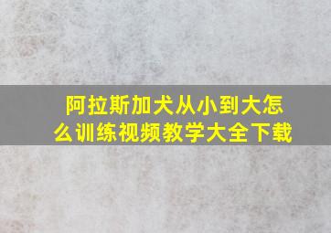 阿拉斯加犬从小到大怎么训练视频教学大全下载