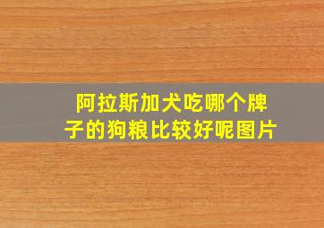 阿拉斯加犬吃哪个牌子的狗粮比较好呢图片