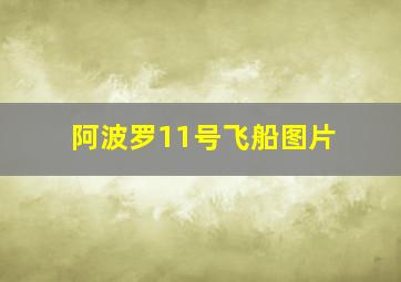 阿波罗11号飞船图片