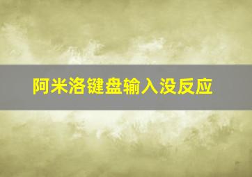 阿米洛键盘输入没反应