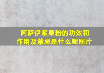 阿萨伊浆果粉的功效和作用及禁忌是什么呢图片