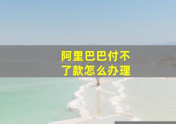 阿里巴巴付不了款怎么办理