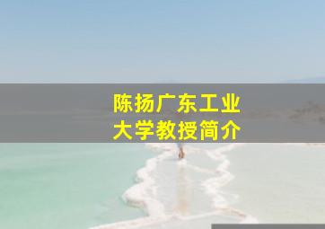 陈扬广东工业大学教授简介