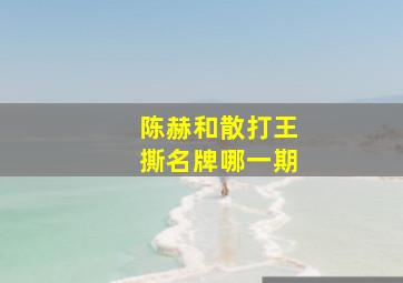 陈赫和散打王撕名牌哪一期