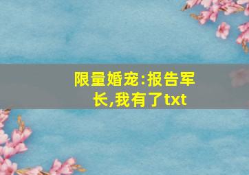 限量婚宠:报告军长,我有了txt