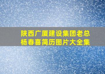 陕西广厦建设集团老总杨春喜简历图片大全集