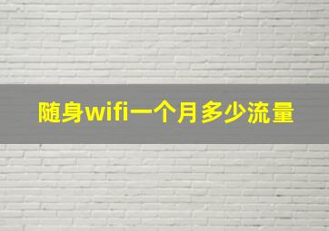 随身wifi一个月多少流量