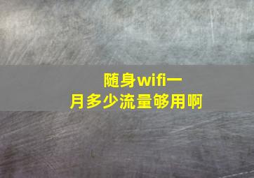 随身wifi一月多少流量够用啊