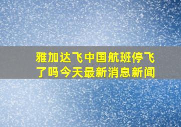 雅加达飞中国航班停飞了吗今天最新消息新闻