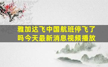 雅加达飞中国航班停飞了吗今天最新消息视频播放