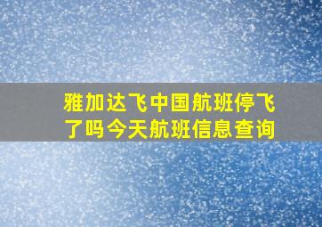 雅加达飞中国航班停飞了吗今天航班信息查询