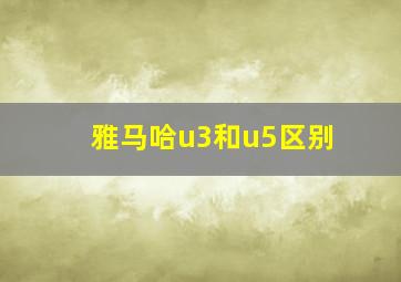 雅马哈u3和u5区别