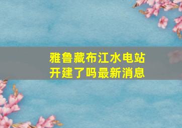 雅鲁藏布江水电站开建了吗最新消息