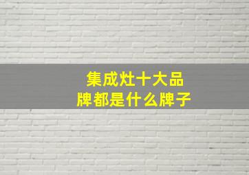 集成灶十大品牌都是什么牌子