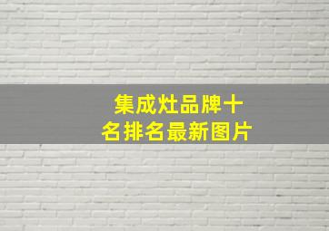 集成灶品牌十名排名最新图片