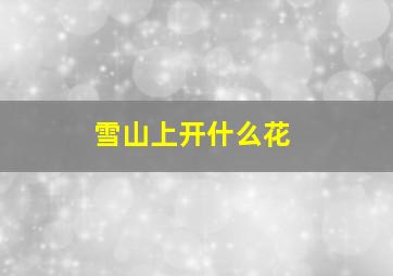 雪山上开什么花