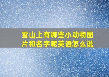 雪山上有哪些小动物图片和名字呢英语怎么说