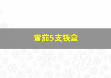 雪茄5支铁盒