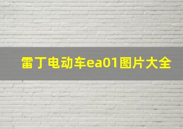 雷丁电动车ea01图片大全