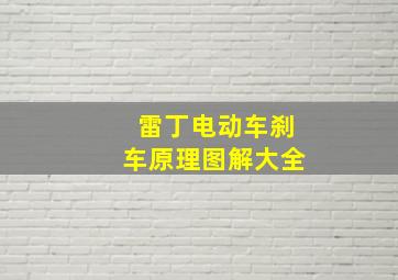 雷丁电动车刹车原理图解大全