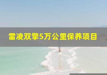 雷凌双擎5万公里保养项目