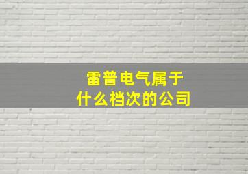 雷普电气属于什么档次的公司