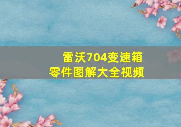 雷沃704变速箱零件图解大全视频