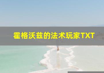 霍格沃兹的法术玩家TXT