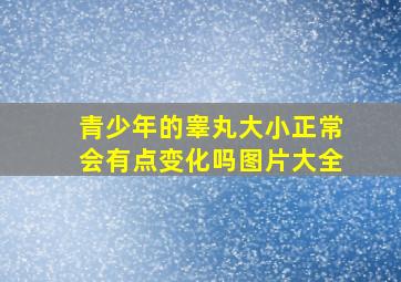 青少年的睾丸大小正常会有点变化吗图片大全