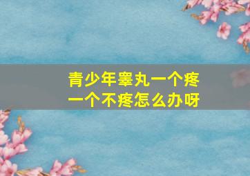 青少年睾丸一个疼一个不疼怎么办呀