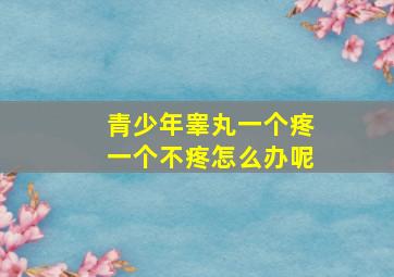 青少年睾丸一个疼一个不疼怎么办呢