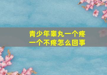 青少年睾丸一个疼一个不疼怎么回事