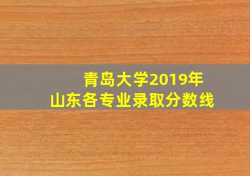 青岛大学2019年山东各专业录取分数线