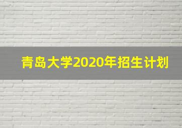 青岛大学2020年招生计划