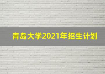 青岛大学2021年招生计划