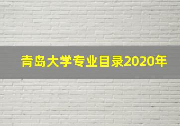 青岛大学专业目录2020年