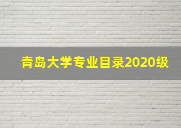 青岛大学专业目录2020级